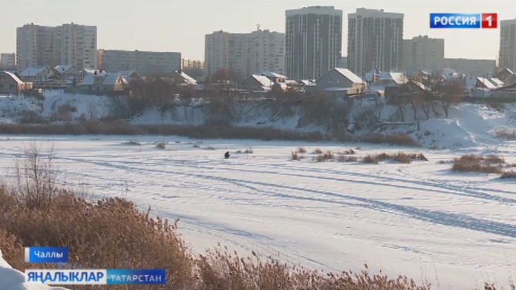 «Экология» илкүләм проекты дәвам итә
