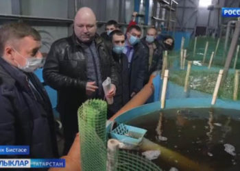 Балык тоту һәм эшкәртү – Балык Бистәсенең визит карточкасы