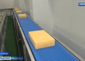 «Голланд» сыры Арчада җитештерелә башлады