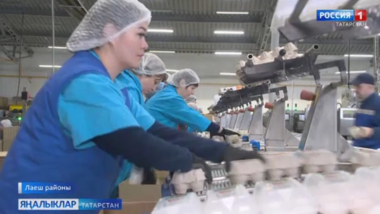 Кошчыларның зур уңышы