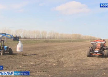 Язның бер көне – елны туйдыра