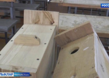 Сыерчык оясына иң яхшы материал — юкә агачы