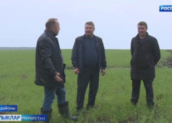 Яз ашыктыра