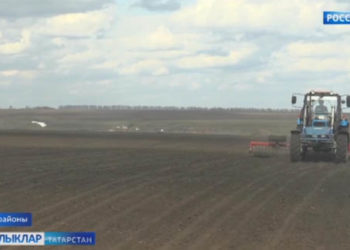 Чәчүгә төштеләр