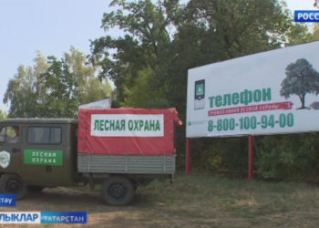 Урманнар – табигать бүләге