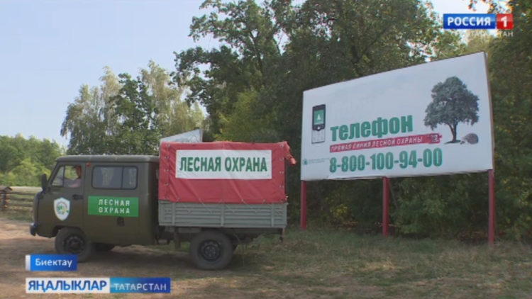 Урманнар – табигать бүләге