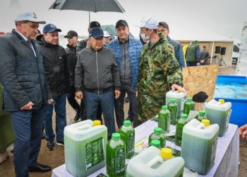 Гөрләтеп эшләр чак