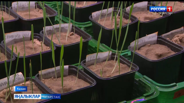 Казанда Евразия интеграциясе Халыкара конгрессы тәмамланды