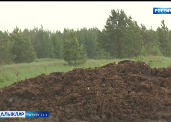 Питрәч районының Пимәр авылында яшәүчеләр начар искә зарлана