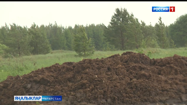 Питрәч районының Пимәр авылында яшәүчеләр начар искә зарлана