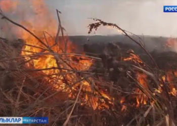 Урманда учак яккан өчен иң зур штраф каралган