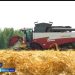 Азнакай районында да игеннәрне урып җыюга керештеләр