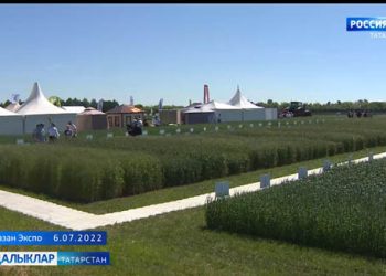 Алдынгы тәҗрибә мәктәбе