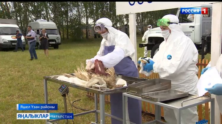 Яшел Үзән районында кош гриппын юкка чыгару уңаеннан күнегүләр узды