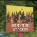 Татарстанда урман янгыннары куркынычы саклана