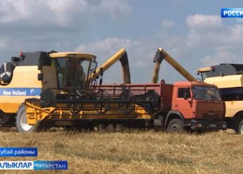 Аксубай районында арпаны суктыралар