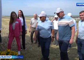 Рөстәм Миңнеханов Аксубай, Яңа Чишмә, Норлат районнарында   урып-җыю эшләренең темпларын бәяләде