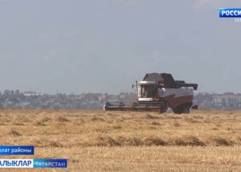 Татарстанда урып-җыю кампаниясе дәвам итә. Алдынгылар рәтендә  Нурлат районы да бар