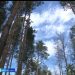 Һава торышы температурысы югары тору сәбәпле урманга сәяхәткә чыгулар тыела