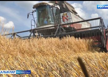 Казанда махсус технология буенча инновацион имплантлар ясыйлар