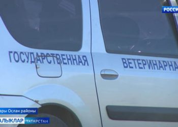 Малларда африка чумасы йогышы учакларын бетерү өчен эш бара