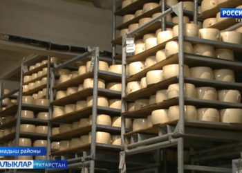 Кукмара районында сыр җитештерү буенча Россиядә иң зур заводларның берсе барлыкка килергә мөмкин
