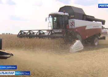 Мөслим комбайнчылары уракта сынатмый