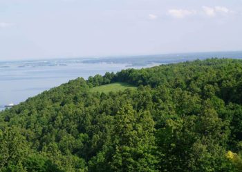 Татарстанда янгын куркынычы сәбәпле кисәтү игълан итте