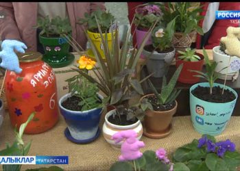 Казан мәктәп укучылары өчен игелек атнасы бара