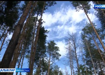 Татарстанда 40 меңгә якын кеше диспансерлаштыру узды