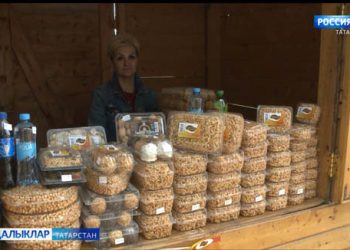 Аккош күлендә тәм-томнар белән сыйланарга мөмкин