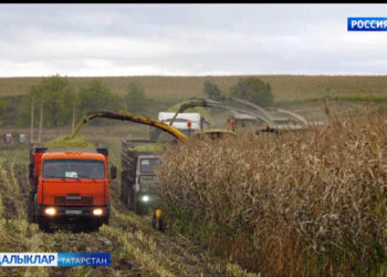 Азнакай басуларында эш тынмый