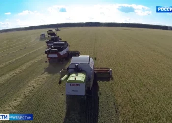 Хезмәтенә күрә хөрмәте