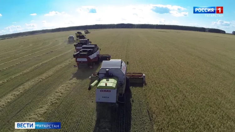 Хезмәтенә күрә хөрмәте