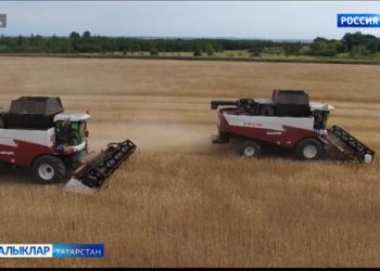 19 октябрьдә Казанда авыл хуҗалыгы һәм эшкәртү сәнәгате хезмәткәрләре көне