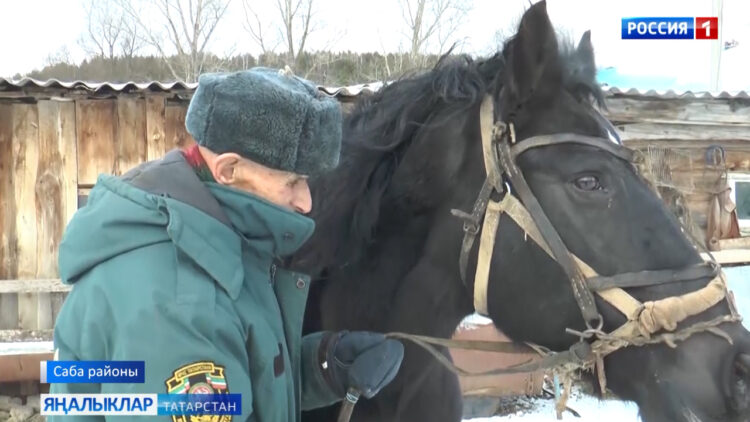 Татар кешесенә ат тәүге мәхәббәте кебек кадерле