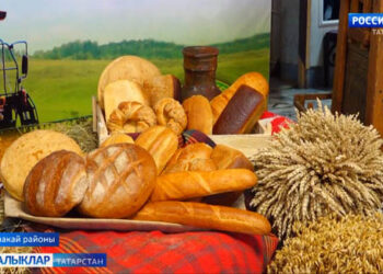 Азнакайда авыл хужалыгы һəм эшкəртү сәнəгате хезмəтчəннəрен хөрмəтлəделəр