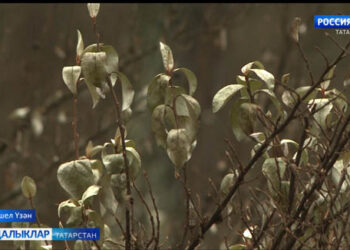 Һава торышыннан ниләр көтәргә?