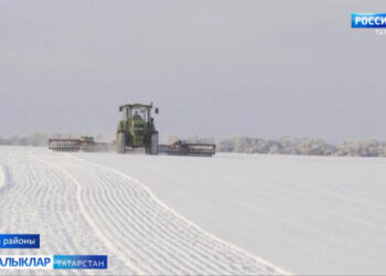 Буа басуларында боз ваталар
