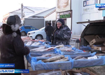 Нурлат районы халкы кайсы продуктларны үз итә?