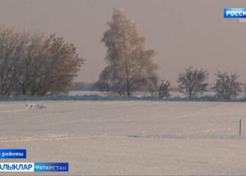 Агробизнес сәхифәсе