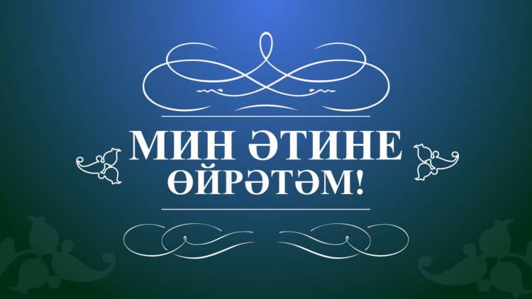 2022 елда гамәлгә ашырылган проектлар