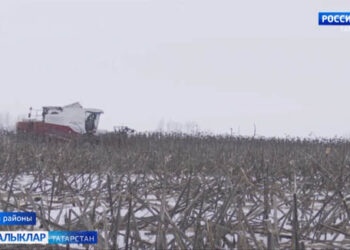 Кар каплаган кырны ялгыз комбайн иңли