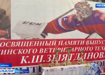 Камил Зыятдинов истәлегенә хоккей турниры узды