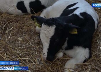 Татарстан фермерларына ярдәм