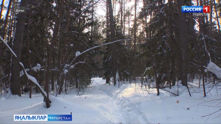 Республикада «Экология – һәркемнең эше» дип исемләнгән өченче Халыкара балалар – яшүсмерләр премиясенә гаризалар кабул ителә
