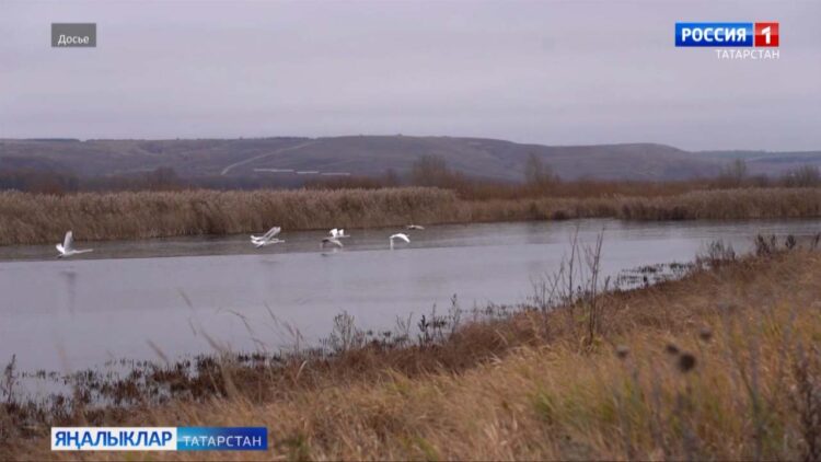 Аучылар көткән вакыт якынлаша