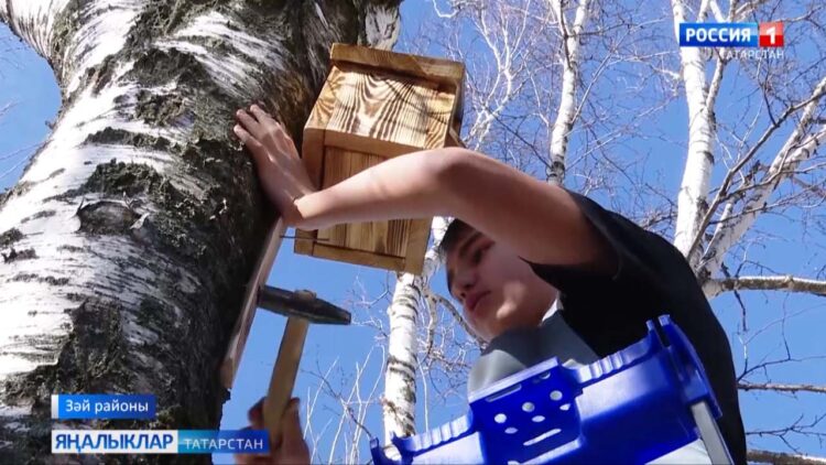 Сыерчыклар килгән безгә