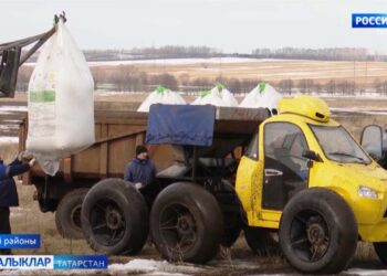 Зәйдә чәчә башладылар