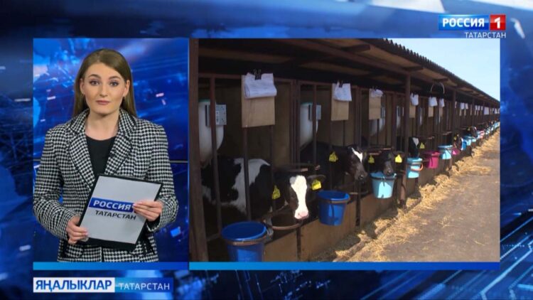 «Авыл сулышы» сәхифәсе